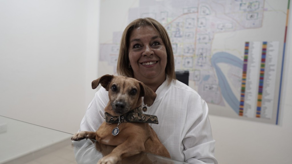 Beatriz Segovia: “A través del PROMEPO el Municipio castra alrededor de 16 mil animales al año”