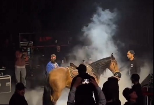 Bad Bunny entró a su show en un caballo y fue acusado de maltrato animal