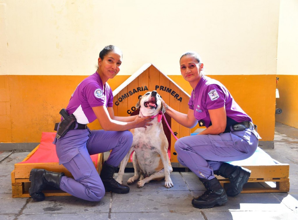  Primera casita comunitaria para canes en situación de calle inaugurada en la Seccional Primera