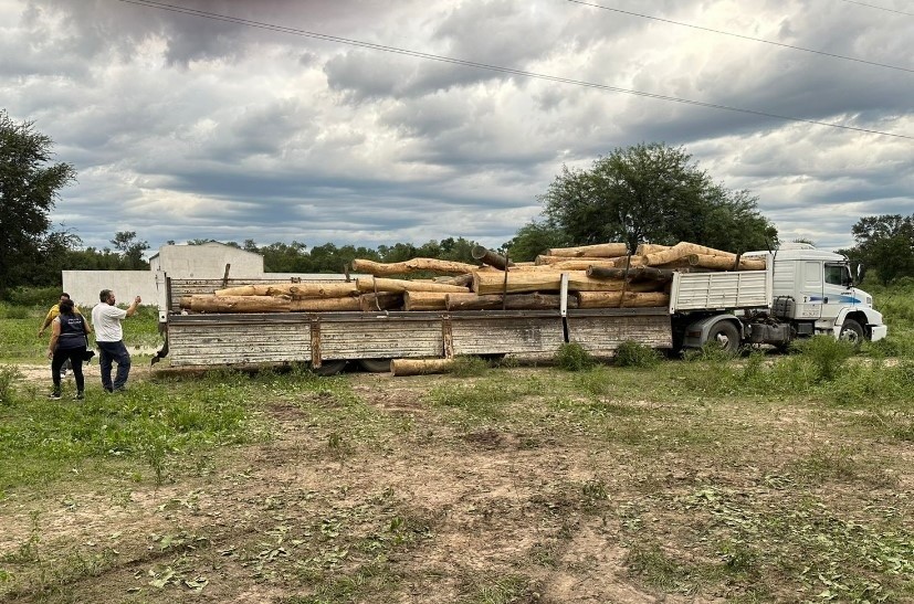 Las Lomitas: Se secuestraron 60 toneladas de palo santo y dos camiones con presunta documentación falsificada 