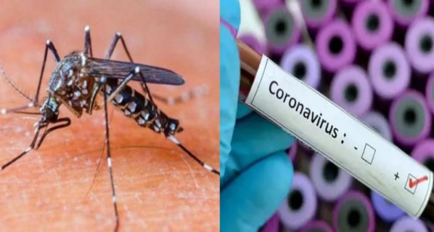 Continúan en descenso los casos de dengue y COVID-19 en Formosa