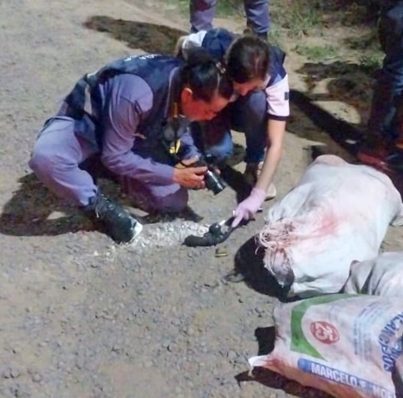 Estanislao del Campo: La Policía secuestró 131 kilos de carne vacuna mal habida y un arma de fuego
