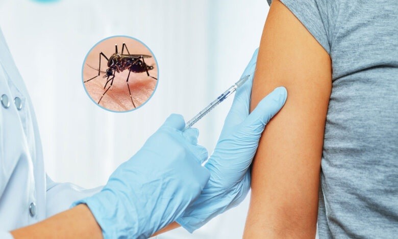  En noviembre  llegaría al país la vacuna contra el dengue