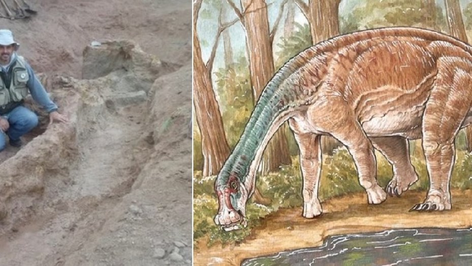 Neuquén: descubrieron una nueva especie de dinosaurio con el cuerpo 