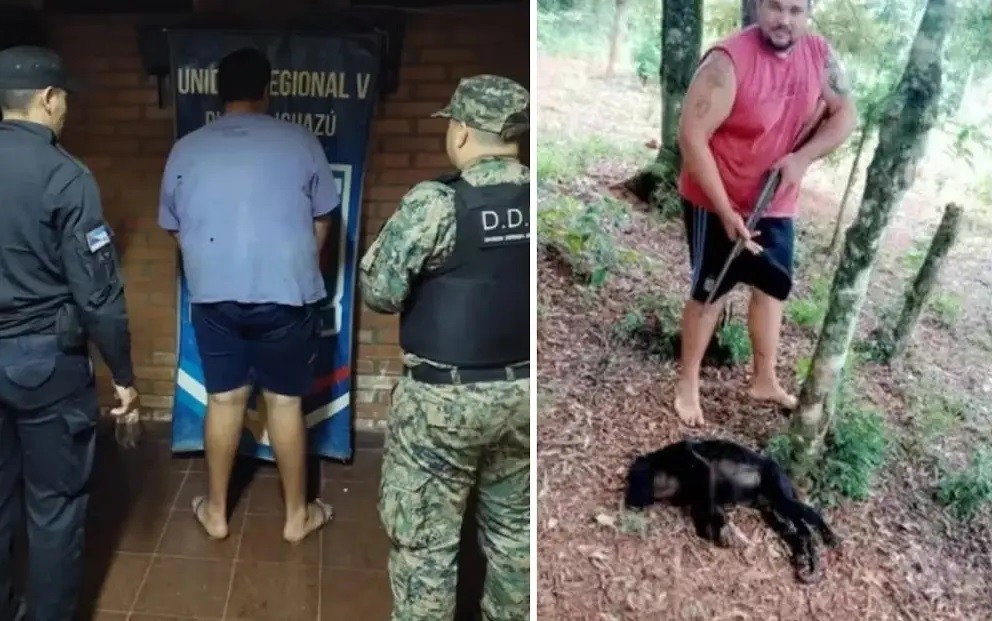 Mató a un mono en Misiones y lo publicó en redes: fue detenido y podría recibir una multa de 10 millones de pesos